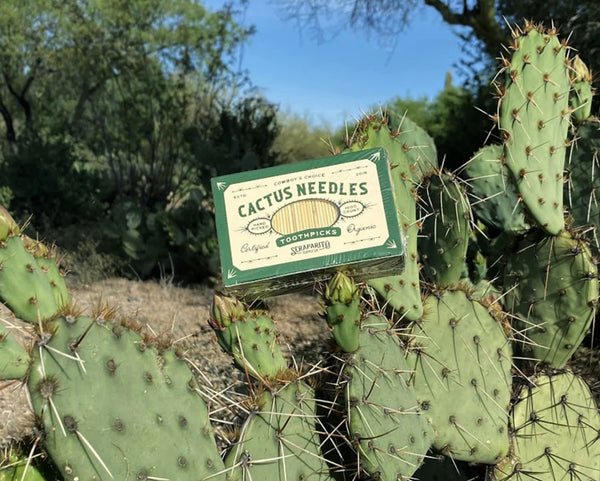 Cactus Needles AKA Toothpicks