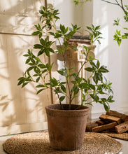 Artificial Japanese Enkianthus Tree