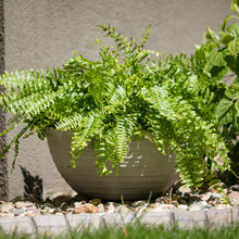 Cement Planter Trio